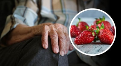 Zważyła truskawki, p&oacute;źniej dosypała jedną garść owoc&oacute;w. 70-latce grozi do 8 lat więzienia