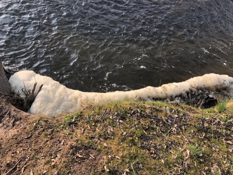Jest śledztwo w sprawie śniętych ryb. Nawet 10 lat więzienia i gigantyczna grzywna za zatrucie Kaczawy - 1