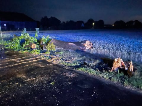 Prawie 300 interwencji strażaków, podtopienia i powalone drzewa. Burzowa noc na Dolnym Śląsku - 3