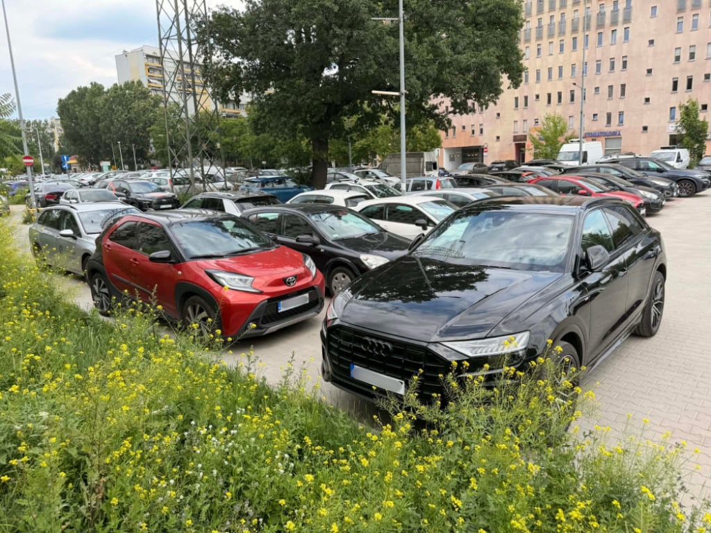 Zaparkowanie na tej ulicy na Popowicach jest dużym wyzwaniem. To efekt wprowadzenia opłat przy Magnolii - Plaga mandatów i brak miejsc parkingowych na Popowicach.