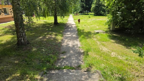Kudowa-Zdrój: Te chodniki wyremontują po 50 latach. W mieście powstanie też skatepark - 1