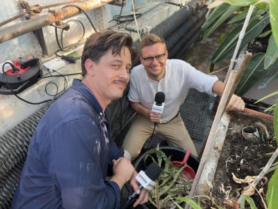 Majewskie Budzenie prosto z ogrodu botanicznego. Dziwidło kwitnie na naszych oczach! - 4