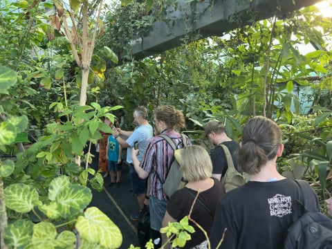 Majewskie Budzenie prosto z ogrodu botanicznego. Dziwidło kwitnie na naszych oczach! - 2