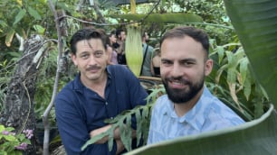 Majewskie Budzenie prosto z ogrodu botanicznego. Dziwidło kwitnie na naszych oczach!