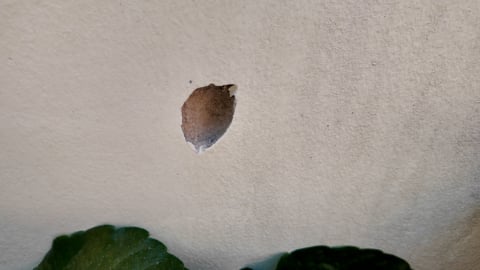 "Jaś" pilnie potrzebuje remontu. Jest już dokumentacja budowlana, ale nie ma pieniędzy - 6