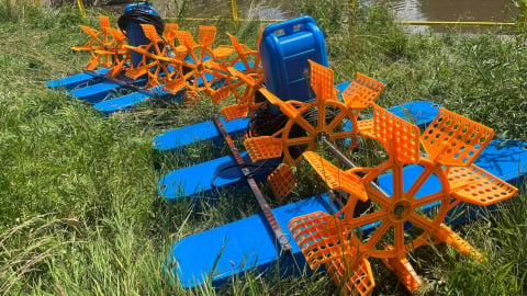 Sytuacja na Bobrze opanowana? Badania wskazują na ogromną poprawę jakości wody. Aeratory i tak pójdą w ruch - 1