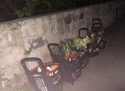 Wynosił produkty ze sklepu pod osłoną nocy. Gdy został wykryty to uciekł i schował się w trawie...