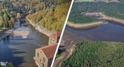 B&oacute;br pod nadzorem. Jest mniej śniętych ryb, ale zakaz korzystania z rzeki nadal obowiązuje