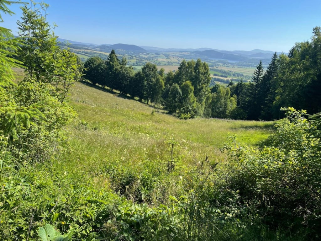 Karkonoski Park Narodowy znów poszerza granice. Na zakupionym terenie występuje wiele chronionych gatunków – Karkonoski Park Narodowy znów poszerza granice.