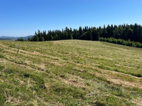 Karkonoski Park Narodowy znów poszerza granice. Na zakupionym terenie występuje wiele chronionych gatunków - 1