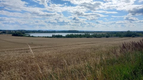 Demontują bobrom tamy, by... uratować tysiące ryb. "To jest taka walka na wyniszczenie" - 1