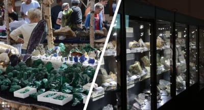 Lato Agatowe wystartowało w Lw&oacute;wku Śląskim. Cały weekend wystaw, występ&oacute;w i konkurs&oacute;w!