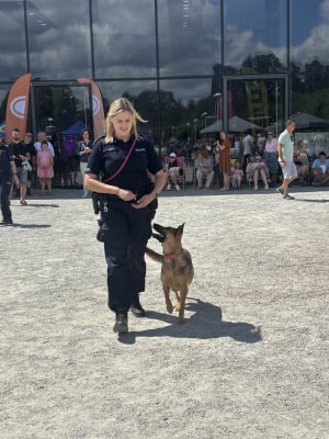 Tłumy Wrocławian bawiły się na pikniku policyjnym przy Hali Stulecia - 1