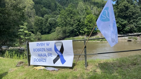 Chcą rozliczyć odpowiedzialnych za ekologiczną tragedię. Pokojowa pikieta przy Zaporze Pilchowickiej - 1