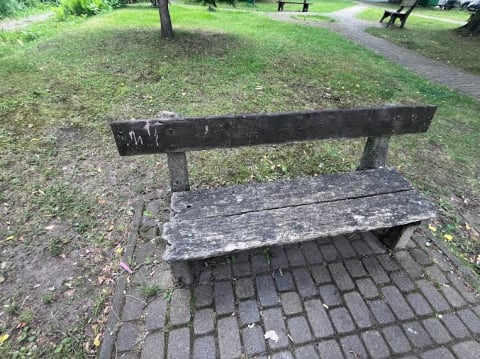 Głuszyca inwestuje 2 mln złotych w miejską zieleń. Będą nowe alejki, ławki i nasadzenia - 2
