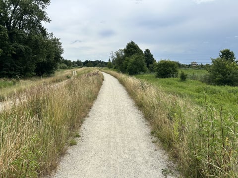 Zaniedbane wały na wrocławskich Kłokoczycach to siedlisko kleszczy i komarów. Terminu koszenia nadal nie podano - 4