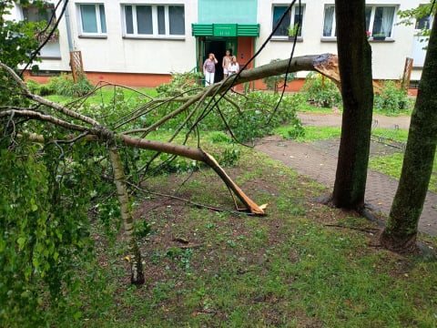 Przyczepa zepchnięta do wody, połamane drzewa i rzeki na ulicach. Ponad 200 interwencji w Jeleniej Górze i okolicy - 11