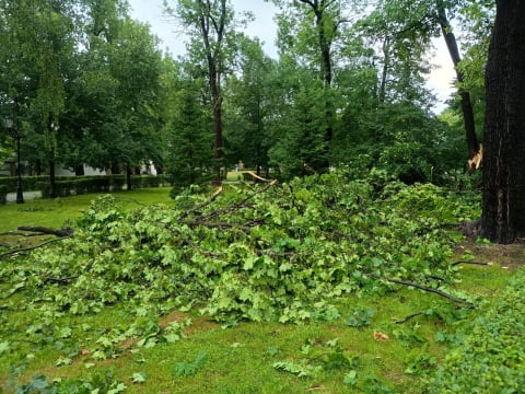 Przyczepa zepchnięta do wody, połamane drzewa i rzeki na ulicach. Ponad 200 interwencji w Jeleniej Górze i okolicy - 13