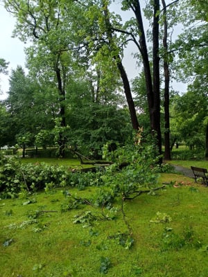 Przyczepa zepchnięta do wody, połamane drzewa i rzeki na ulicach. Ponad 200 interwencji w Jeleniej Górze i okolicy - 14