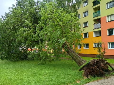Przyczepa zepchnięta do wody, połamane drzewa i rzeki na ulicach. Ponad 200 interwencji w Jeleniej Górze i okolicy - 1