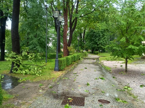 Przyczepa zepchnięta do wody, połamane drzewa i rzeki na ulicach. Ponad 200 interwencji w Jeleniej Górze i okolicy - 2