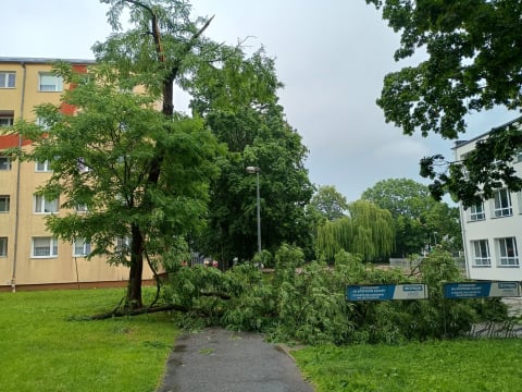 Przyczepa zepchnięta do wody, połamane drzewa i rzeki na ulicach. Ponad 200 interwencji w Jeleniej Górze i okolicy - 3