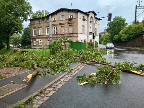 Przyczepa zepchnięta do wody, połamane drzewa i rzeki na ulicach. Ponad 200 interwencji w Jeleniej Górze i okolicy - 6