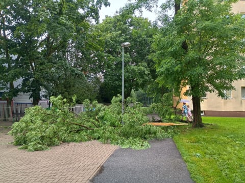 Przyczepa zepchnięta do wody, połamane drzewa i rzeki na ulicach. Ponad 200 interwencji w Jeleniej Górze i okolicy - 8