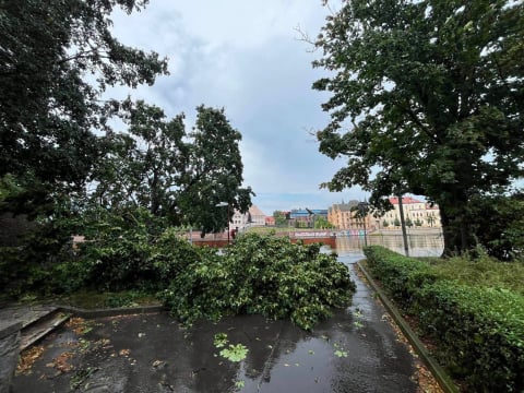 Co za pogoda! Gwałtowny deszcz sparaliżował centrum Wrocławia. Utrudnienia dla kierowców i pasażerów MPK - 0