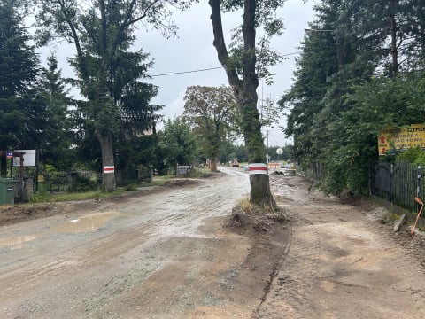 Miała być szeroka droga, a będą drzewa na środku chodnika. Przebudowa ulicy w Chrząstawie Małej budzi emocje - 2