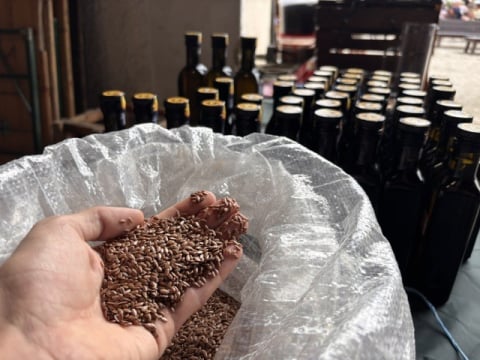 Dawniej budował potęgę regionu, dziś łączy pokolenia. W Łomnicy trwa Święto Lnu - 0