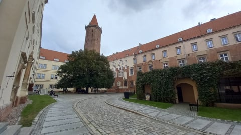 Legnica: Wolontariusze wracają do zamkowych podziemi. Będą ratować zabytki sprzed wieków przed zapomnieniem - 0