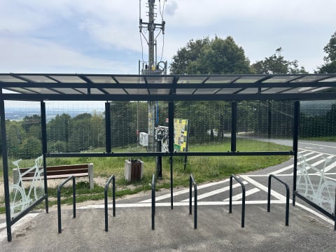 Milion ptaków rocznie ginie od uderzeń w szklane wiaty. Gmina Sobótka ma pomysł jak rozwiązać ten problem - 1
