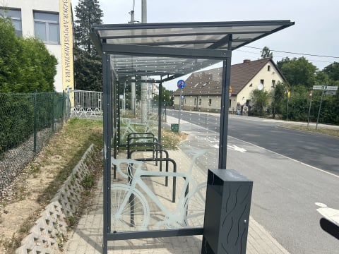 Milion ptaków rocznie ginie od uderzeń w szklane wiaty. Gmina Sobótka ma pomysł jak rozwiązać ten problem - 3