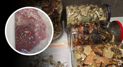 Blisko dwa kilogramy narkotyk&oacute;w w mieszkaniu. 32-latek z powiatu karkonoskiego usłyszał zarzuty