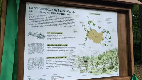 Ponad 13 tysięcy hektarów na lasy społeczne. Aglomeracja wrocławska jest pierwsza w Polsce - 0