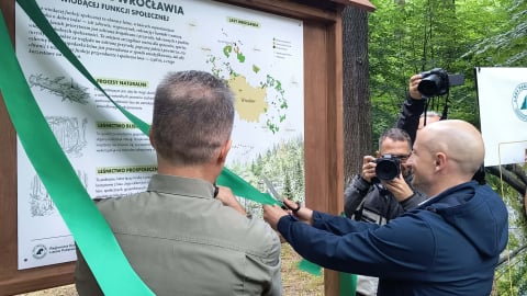 Ponad 13 tysięcy hektarów na lasy społeczne. Aglomeracja wrocławska jest pierwsza w Polsce - 1