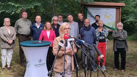 Ponad 13 tysięcy hektarów na lasy społeczne. Aglomeracja wrocławska jest pierwsza w Polsce - 3