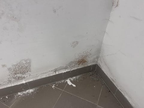 Popękane ściany i wilgoć w jednej z wałbrzyskich kamienic. Jest deklaracja wiceprezdyenta po interwencji Radia Wrocław - 5