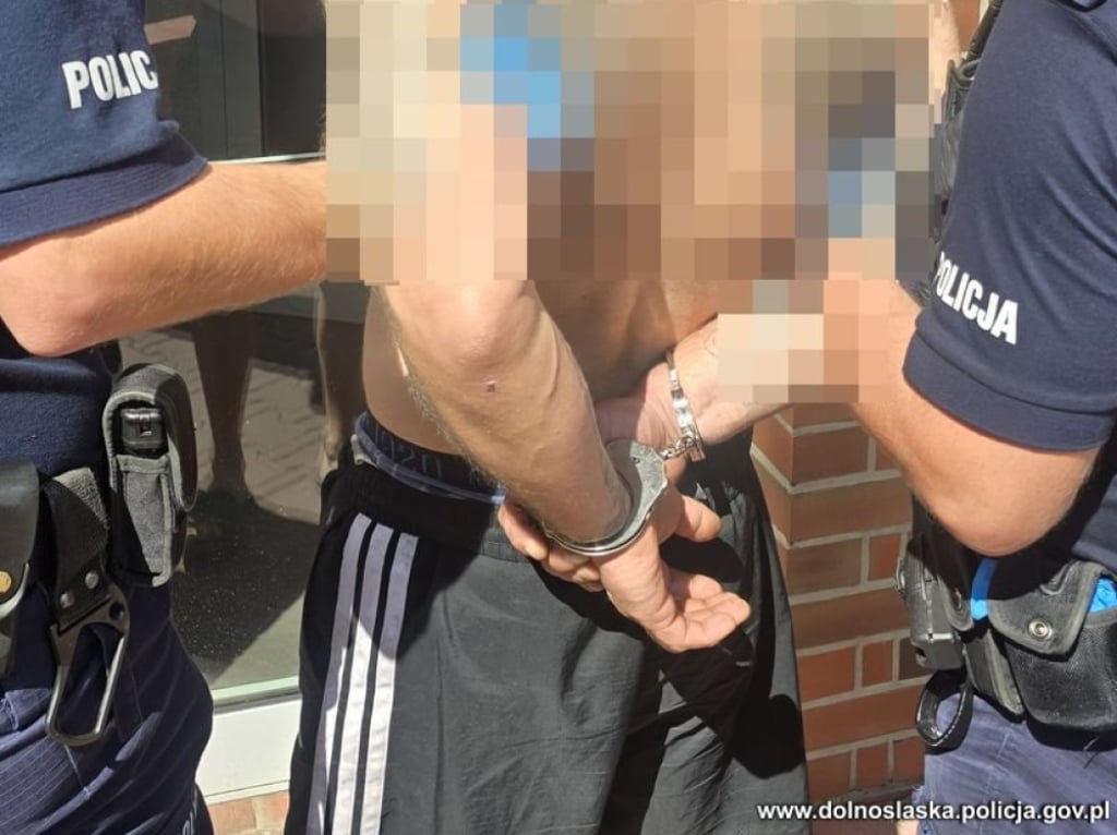 Rozbój w Oleśnicy. Z pistoletem wtargnął do mieszkania - Policjancie zatrzymali 46-latka podejrzewanego o rozbój.