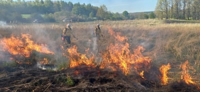 Polscy strażacy pomogą z pożarami w Hiszpanii. To specjalna grupa