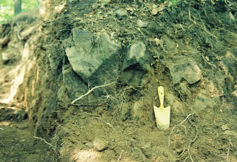 Jest mały i niepozorny, a okazało się, że ma 1000 lat. Krzyżyk z ruin Starego Książa to historyczna sensacja - 2