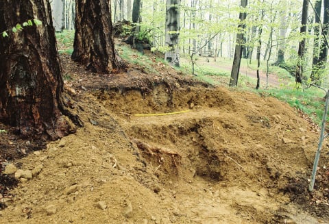 Jest mały i niepozorny, a okazało się, że ma 1000 lat. Krzyżyk z ruin Starego Książa to historyczna sensacja - 1