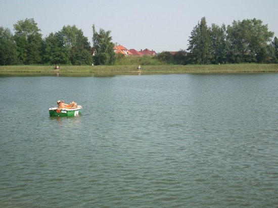 DRJ zjawił się w Jaworze - 23