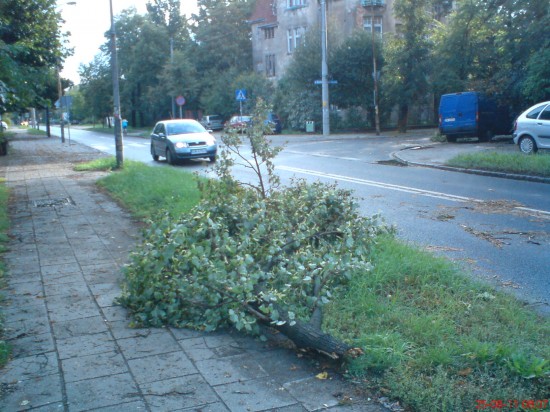 Dolny Śląsk sprząta po burzach - fot. Marta Kliber