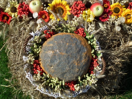 Dożynki w gminie Trzebnica - 12
