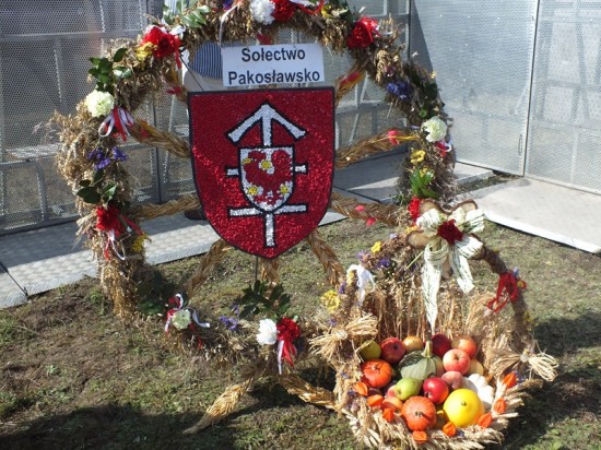 DRJ wśród milickich karpi - 16