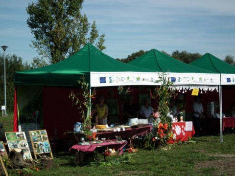 DRJ w Rudzie Żmigrodzkiej - 2