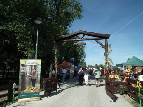 DRJ w Rudzie Żmigrodzkiej - 6