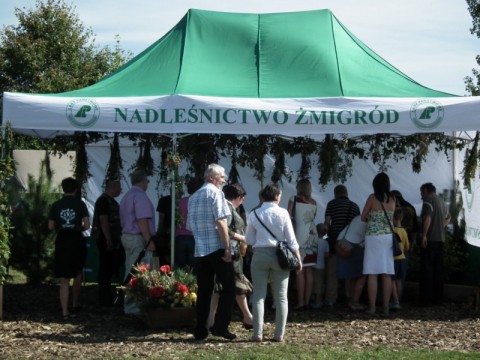 DRJ w Rudzie Żmigrodzkiej - 10